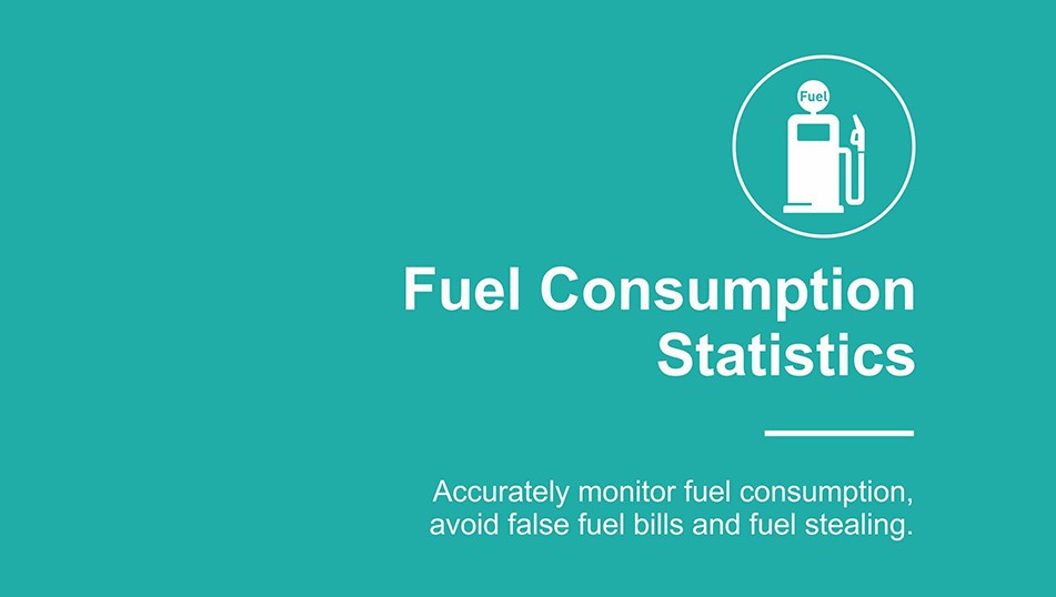 fuel consumption statistic